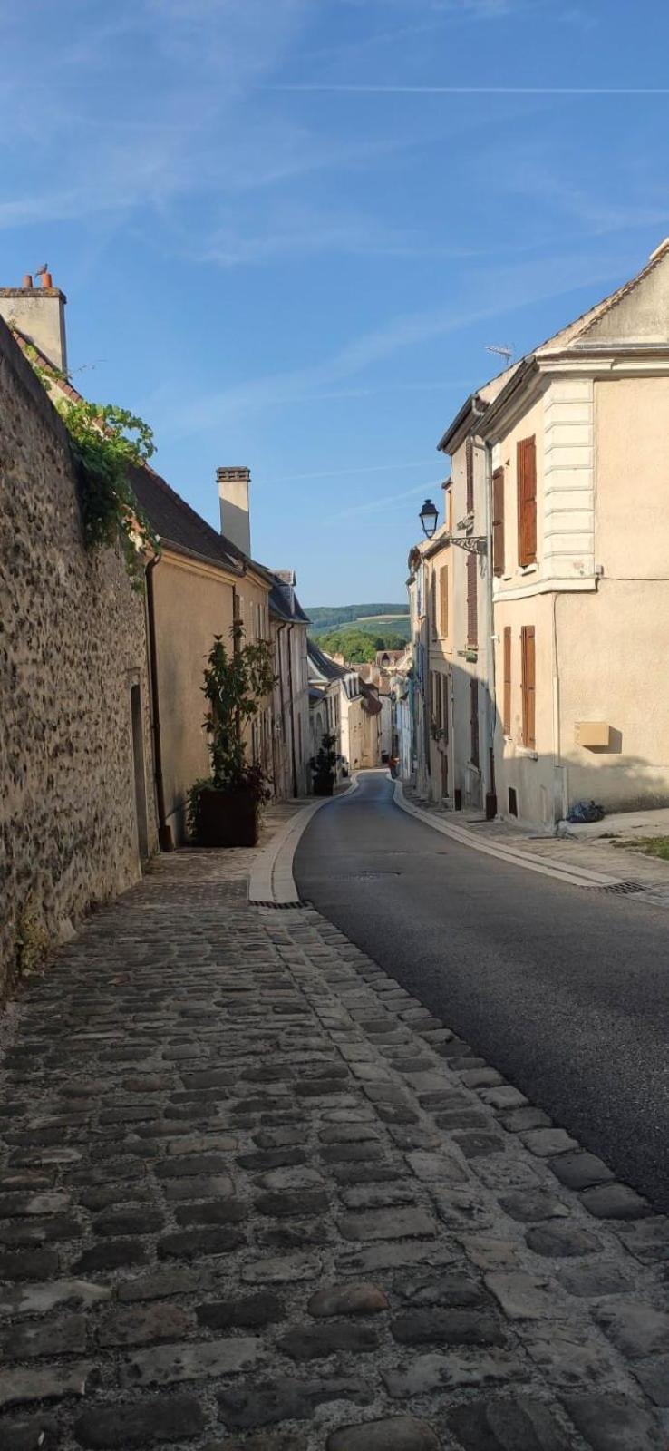 Esope By Kleidos-Ravissant T2 En Plein Centre De Château-Thierry Dış mekan fotoğraf